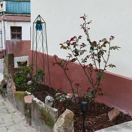 Le Gite Des Sources: Nature, Randonnees, Detente. Oberbronn Buitenkant foto