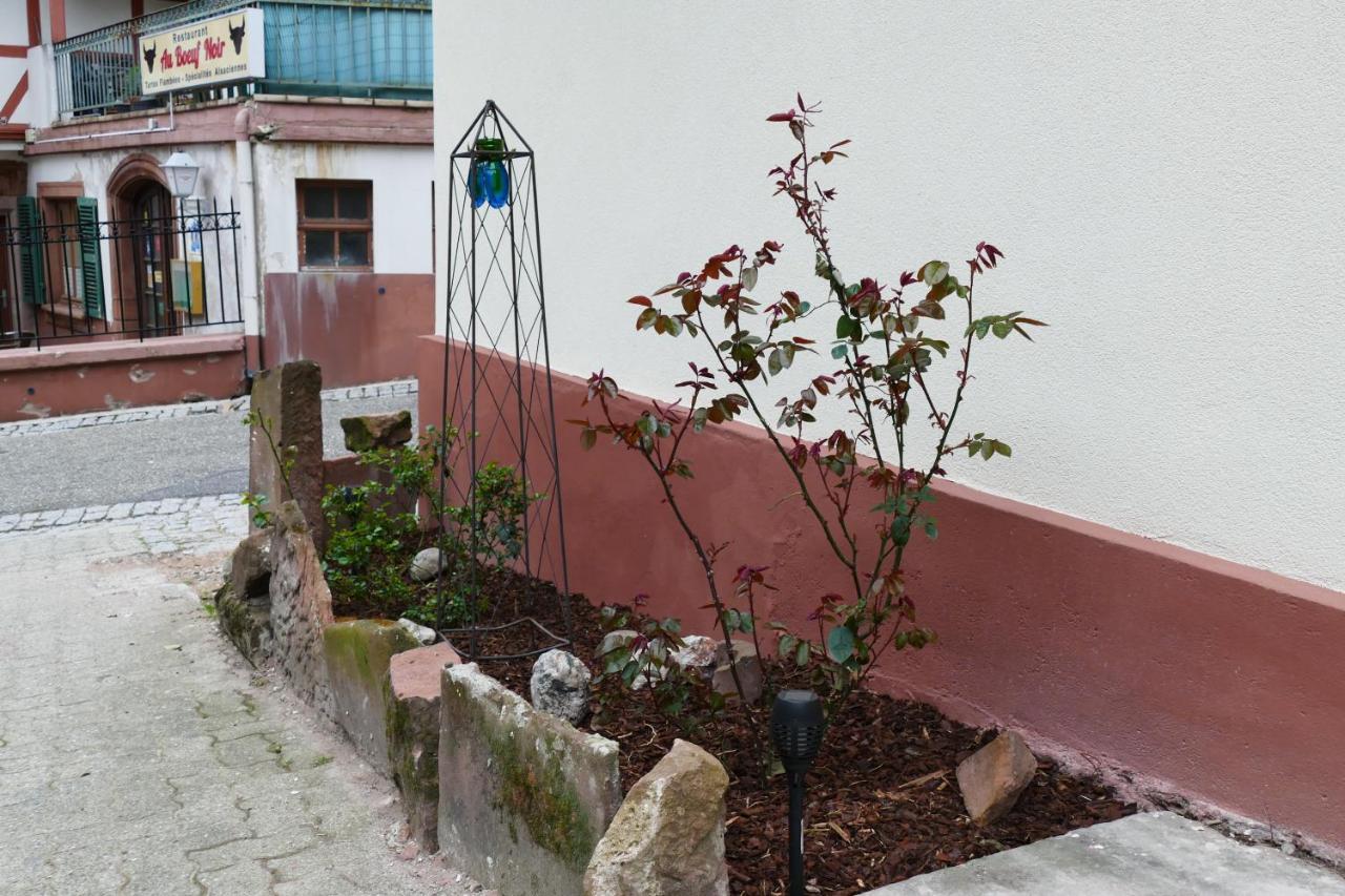 Le Gite Des Sources: Nature, Randonnees, Detente. Oberbronn Buitenkant foto