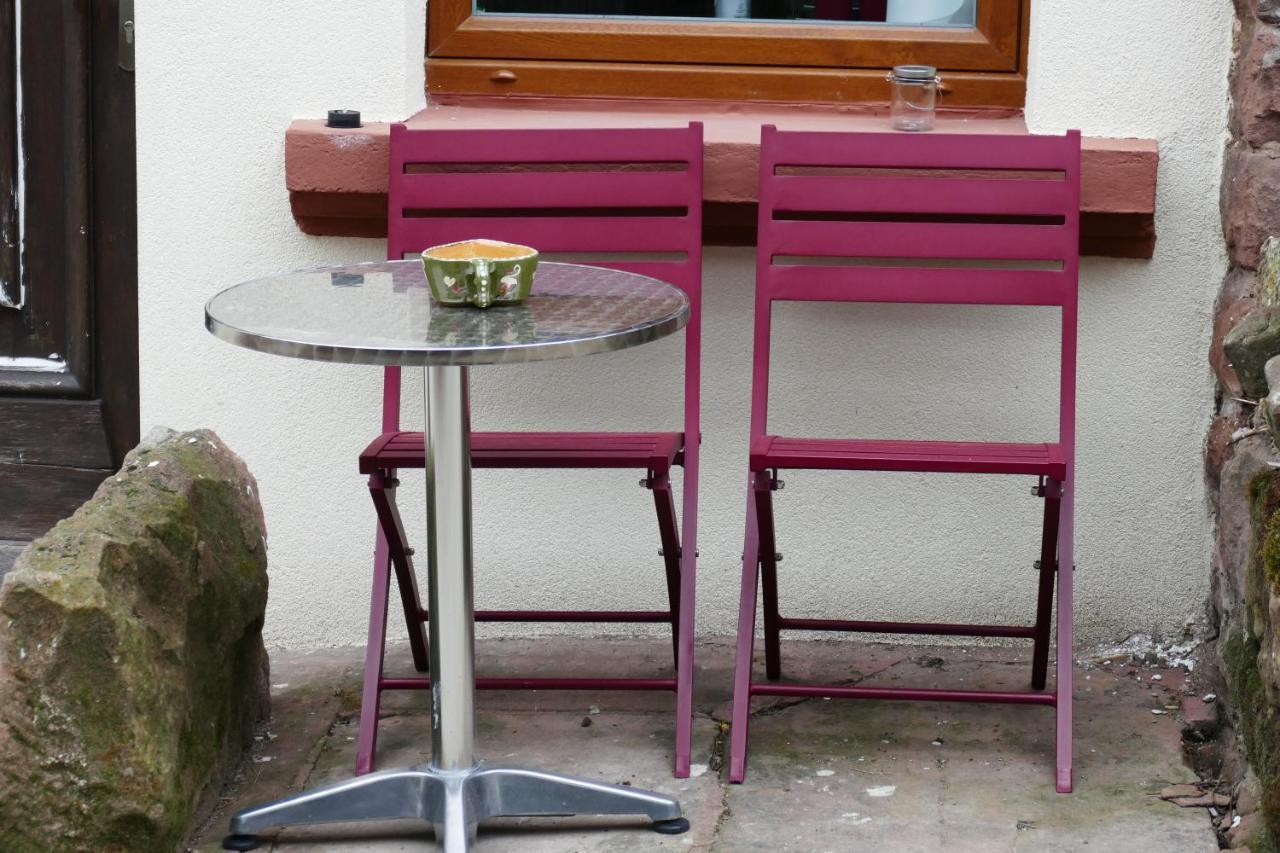 Le Gite Des Sources: Nature, Randonnees, Detente. Oberbronn Buitenkant foto