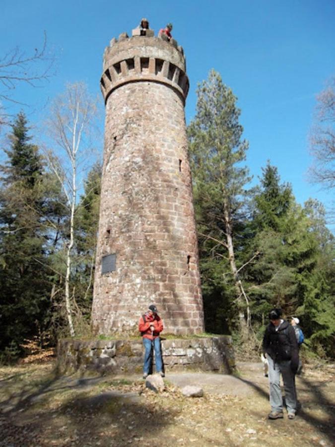 Le Gite Des Sources: Nature, Randonnees, Detente. Oberbronn Buitenkant foto